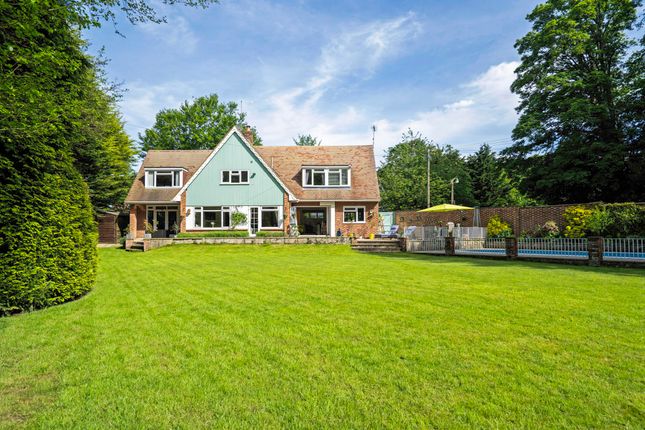 Rear Exterior / Garden