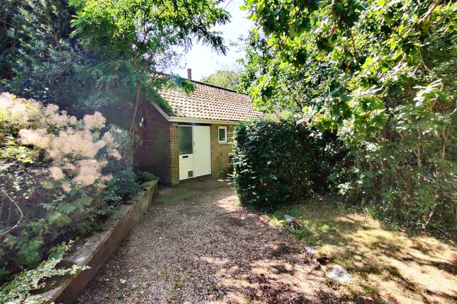 Detached bungalow to rent in Mulbarton, Norwich