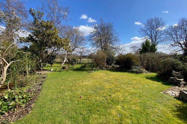 Enclosed Rear Garden