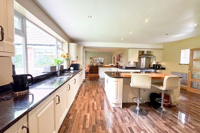 Kitchen View 2