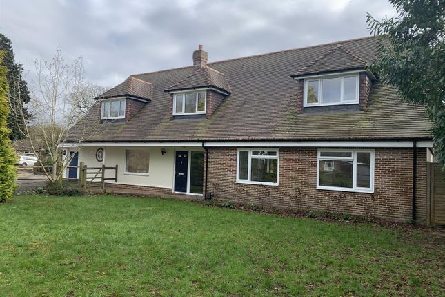 Thumbnail Detached house to rent in Rew Lane, Chichester