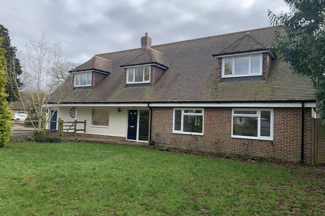 Detached house to rent in Rew Lane, Chichester