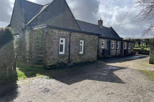 Semi-detached bungalow to rent in Lesbury, Alnwick NE66