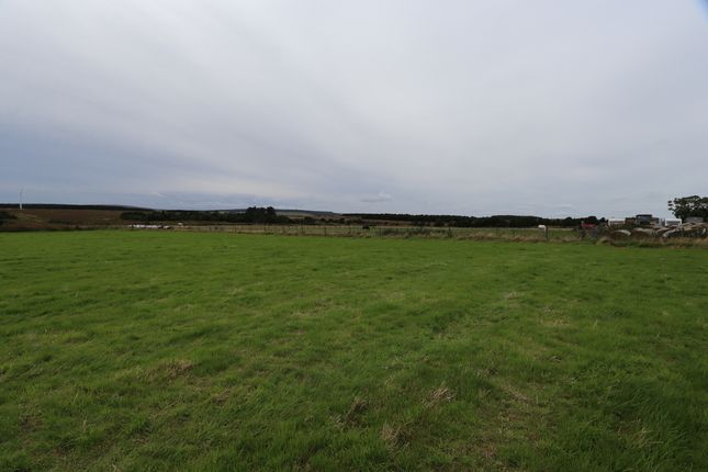 Land for sale in Upper Humster, Newton Hill, Wick