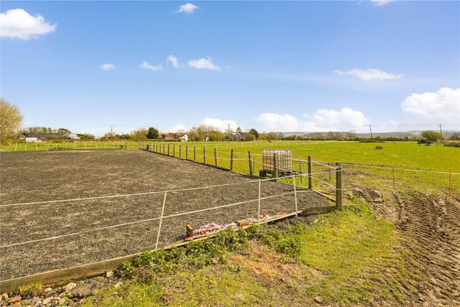 Puddy Moor Stables,, West Rolstone Road, Weston-Super-Mare photo 5