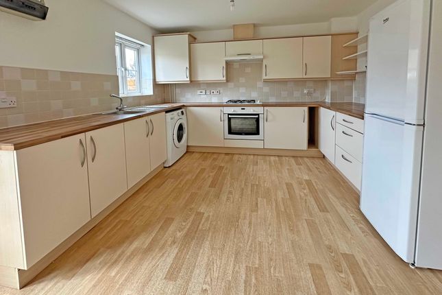 Terraced house for sale in River Plate Road, Exeter