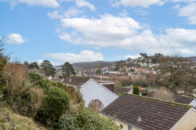 Thumbnail Detached house for sale in Blenheim Close, Newton Abbot