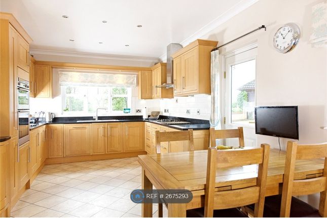 Large Kitchen + Pantry