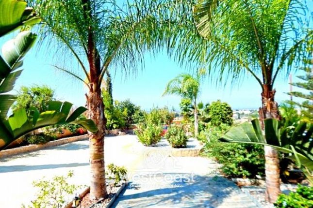 Villa for sale in Anarita, Paphos, Cyprus