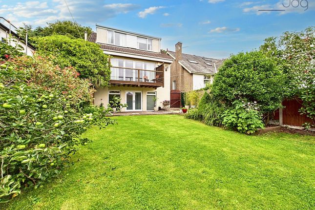 Rear Of The Property