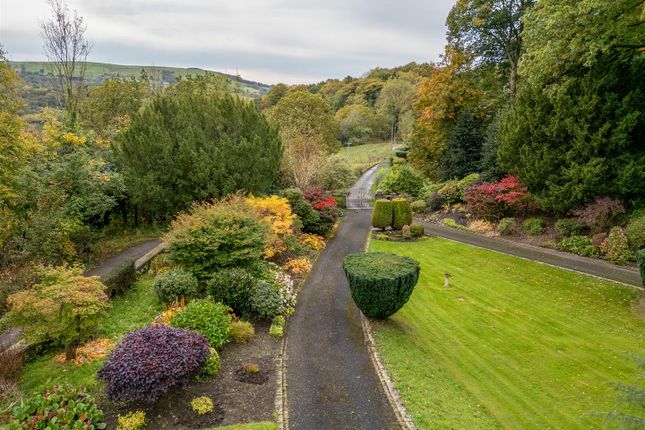 Formal Gardens &amp; Woodland