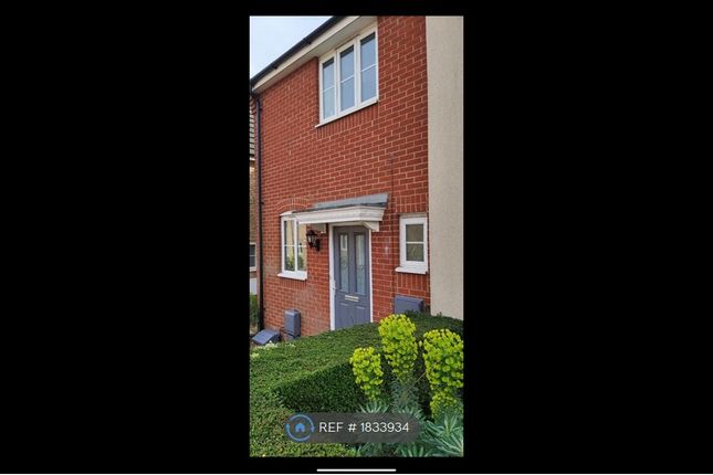 Semi-detached house to rent in Brambling Close, Stowmarket