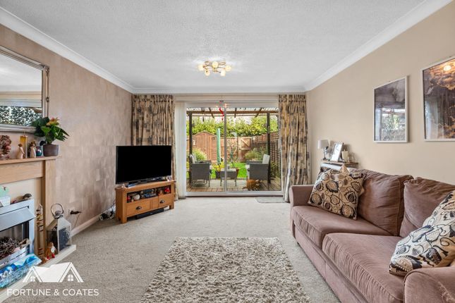 Silvesters, Harlow photo 2