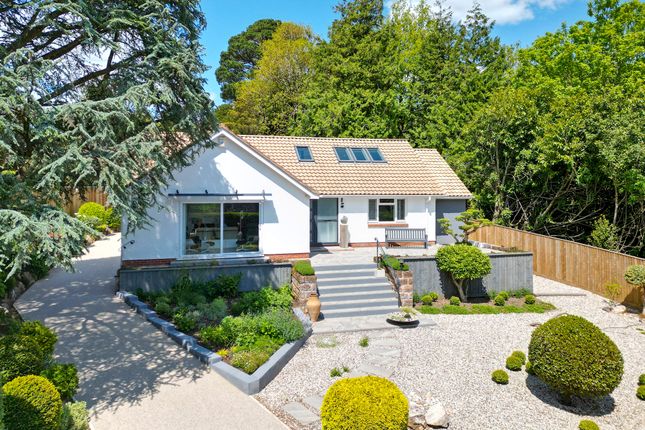 Thumbnail Detached bungalow for sale in Knowle Drive, Sidmouth