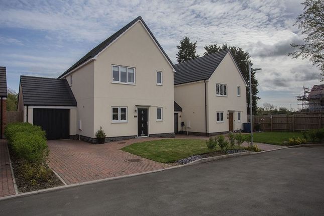 Thumbnail Detached house for sale in Thompsons Yard, Yaxley, Peterborough.