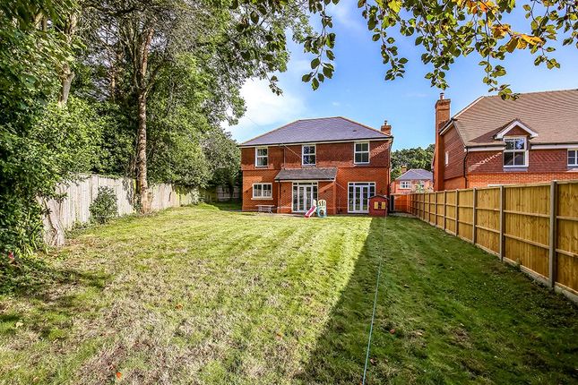 Country house for sale in Romsey Road, Awbridge, Romsey, Hampshire