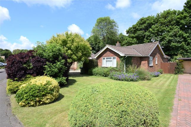 Thumbnail Bungalow for sale in Roundway Gardens, Devizes