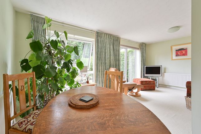 Knoll Green, Hemel Hempstead photo 4
