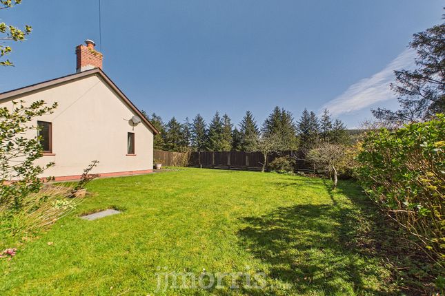 Can Y Gog, Clynderwen photo 3