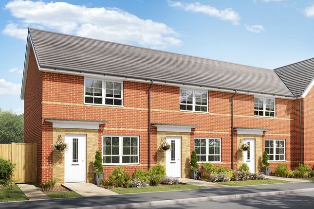 Thumbnail Semi-detached house for sale in "Roseberry" at Blounts Green, Uttoxeter