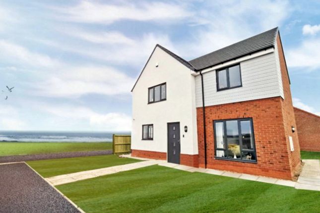 Thumbnail Detached house for sale in Forest Avenue, Hartlepool