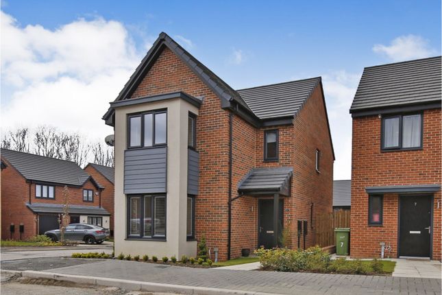 Thumbnail Detached house for sale in Bramble Rise, Sunderland
