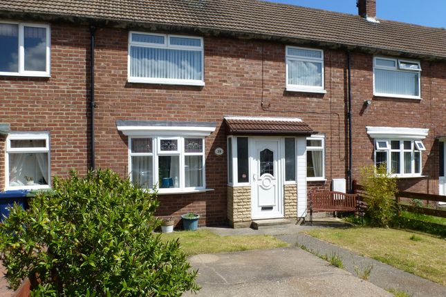 Homes to Let in South Shields - Rent Property in South Shields