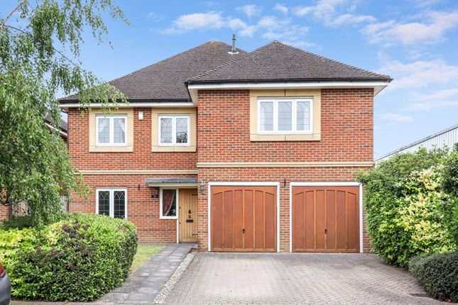 Thumbnail Detached house for sale in Steeple Point, Ascot