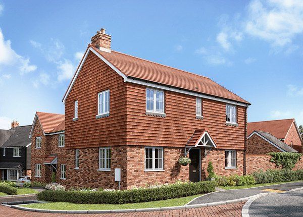 The Gosford - CGI