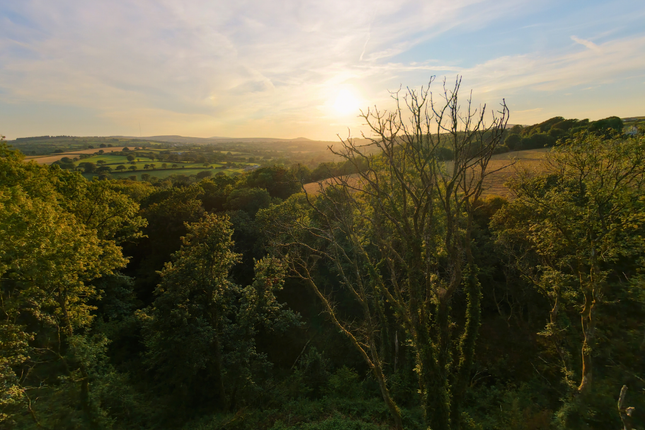 Brick Row,1, Llanfyrnach photo 4
