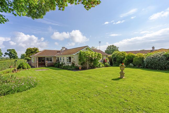 Thumbnail Detached bungalow for sale in Uplands Close, Limpley Stoke