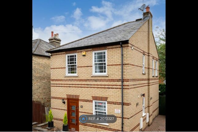 Thumbnail Detached house to rent in Oster Street, St. Albans