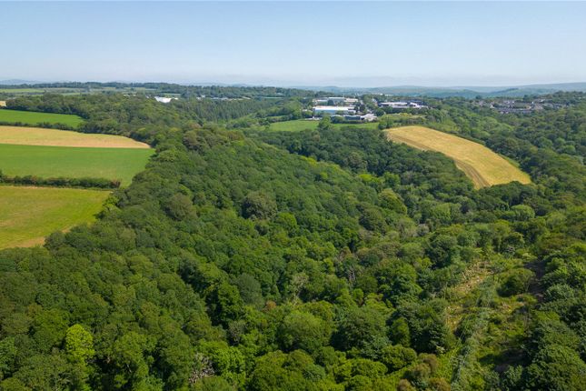 Thumbnail Land for sale in Woodland West Of Roborough, Tamerton Foliot, Plymouth