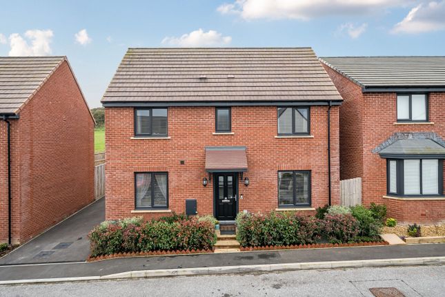 1373864-1-6903410...