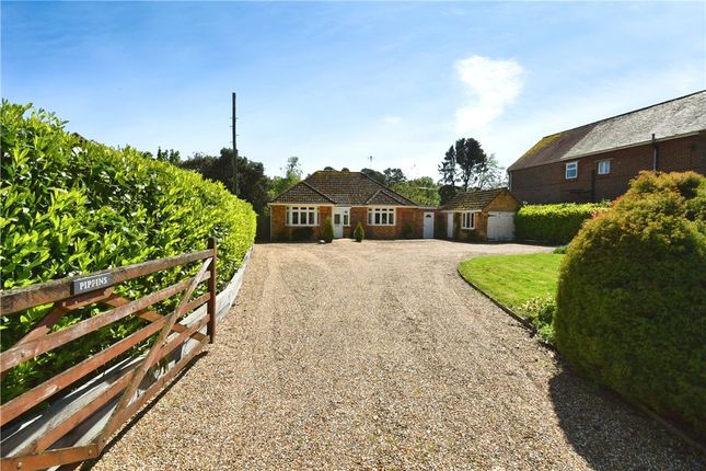 Thumbnail Detached bungalow for sale in Canada Road, West Wellow, Romsey, Hampshire