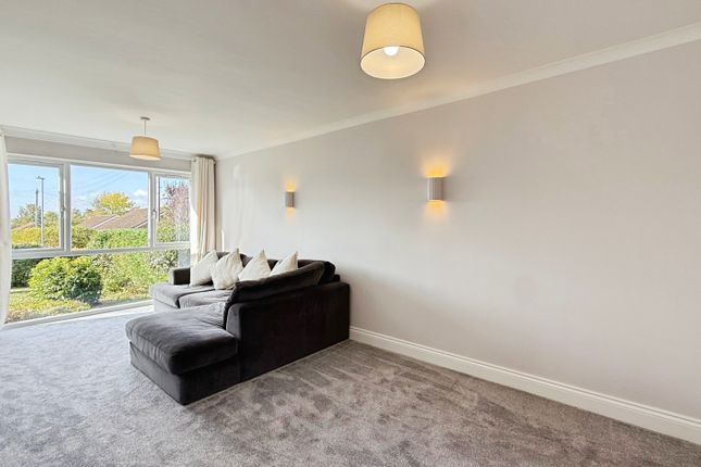 Upland Rise, Westbury photo 4