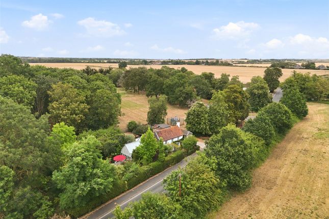 Rose Cottage,, Stambridge Road, Essex photo 3