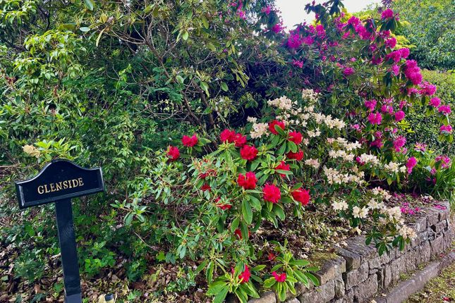 Glenside, Merlewood Road, Inverness photo 4