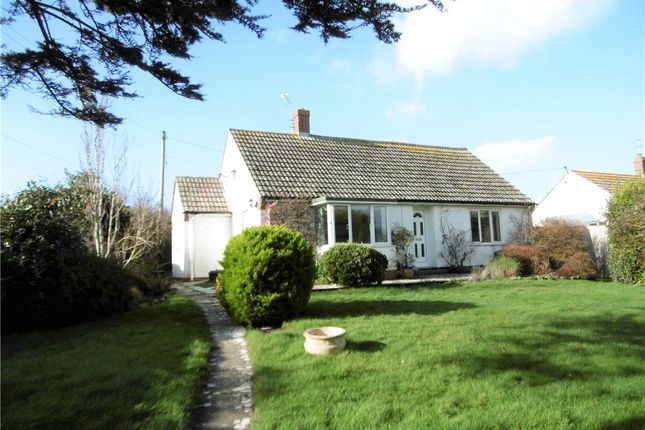 Homes To Let In Bridport Rent Property In Bridport Primelocation