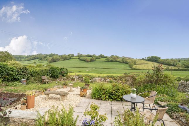 Corry Barn, Fordhayes Farm, Axminster photo 4