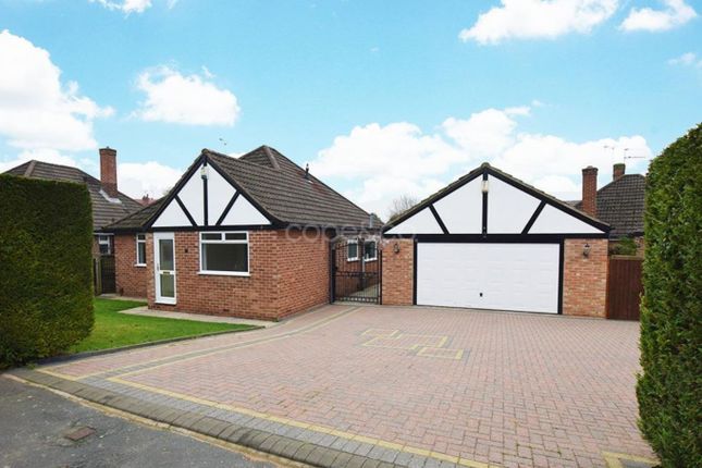 Detached bungalow to rent in Hardwick Avenue, Allestree, Derby, Derbyshire DE22