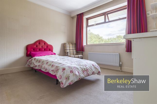 The Serpentine North