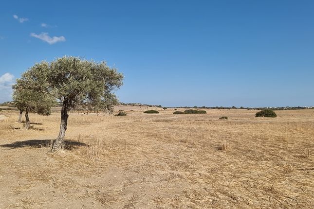 Land for sale in Hp2785, Bogaz, Cyprus