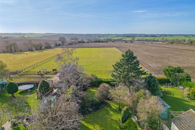 Detached house for sale in Chelmsford Road, Felsted, Dunmow, Essex