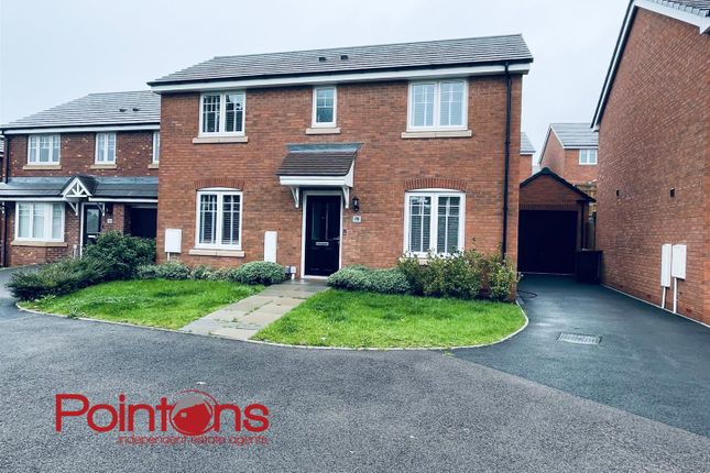 Untitled Design - 1.Png