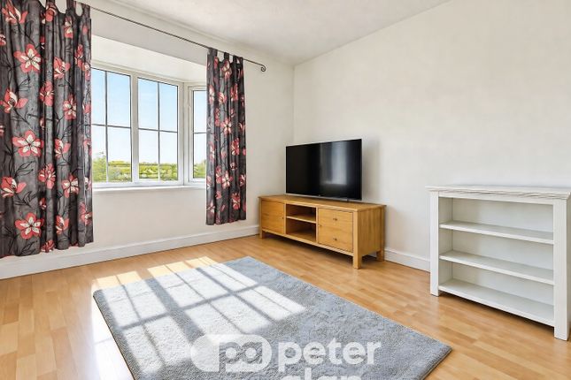 149, Cardiff photo 3