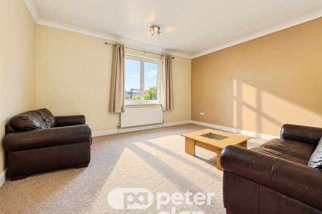 28, Cardiff photo 2