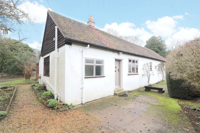 Thumbnail Bungalow to rent in Tilford, Farnham, Surrey