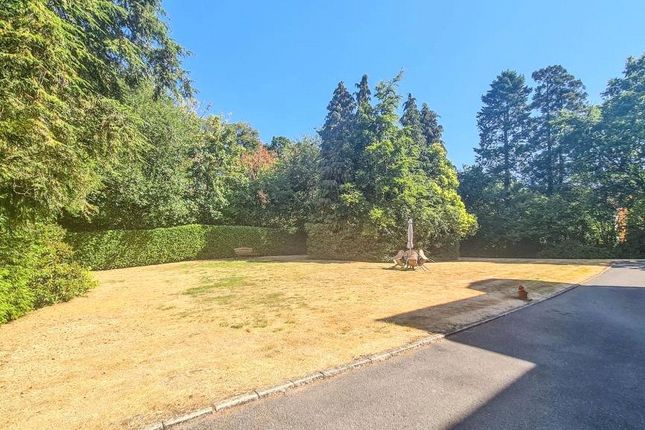 Glen Court,, St. Johns Hill Road, Surrey photo 5
