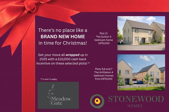 Christmas Incentive!